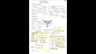 Nematodes  Trematodes  cestodes comment for full pdf fmge neetpg mbbs [upl. by Aleehs190]