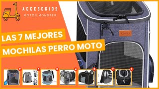 Las 7 mejores mochilas perro moto [upl. by Kcira]