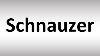 How to Pronounce Schnauzer [upl. by Rog826]