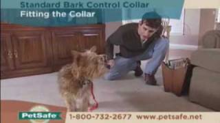 PetSafe Standard Bark Control Collar Tips [upl. by Essinger833]