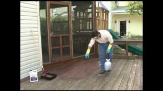 Deck Redo in Four Simple Steps with Thompsons WaterSeal [upl. by Perren]