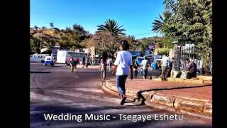 Wedding Music  Tsegaye Eshetu [upl. by Erastes676]