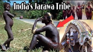 Andaman and nicobar Tribes video andaman jarawa [upl. by Lleoj]