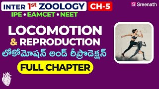 Locomotion and Reproduction Full Chapter in తెలుగు  TSAP Inter 1st Year Zoology  Chapter 5 [upl. by Selda]