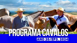 Visita a Fazenda da Bézinha nos campos de cima da serra  PROGRAMA CAVALOS [upl. by Sedlik]