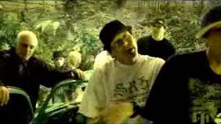 Kottonmouth Kings quotWheres the Weed Atquot [upl. by Strickman]