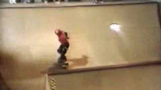 Powell Peralta Ban This Steve Caballero [upl. by Ahsaeit514]