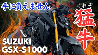 133 納車後10日でわかるモンキー125のデメリット。お気に入りのモンキー125を早速改善！【お知らせ】プレゼントステッカーが8枚残っています。カワサキプラザ熊本さんにあります [upl. by Namyh]