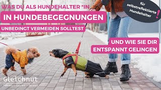 Hundebegegnungen wie Dein Hund fremden Hunden entspannt begegnet Hundetrainerin Franciska Gülstorf [upl. by Saimerej690]