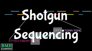 Shotgun Sequencing  Heirarchial Shotgun Sequencing  Whole Genome Shotgun Sequencing [upl. by Samuela]