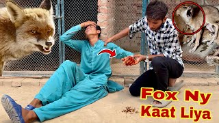 Foxes Ny Qari Ko Kaat Liya💔 [upl. by Sergias]