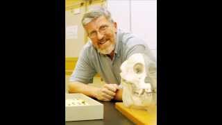 Bernard Wood The Homo habilis and the origin of modern humans [upl. by Archie293]