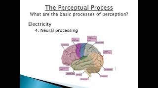 Lecture2b Intro SandP II [upl. by Akemhs]