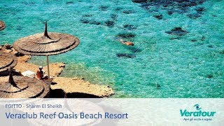 Sharm El Sheikh  Veraclub Reef Oasis Beach Resort [upl. by Eenobe496]