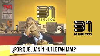 ¿Por qué Juanín huele tan mal  31 Minutos [upl. by Nnyrb]