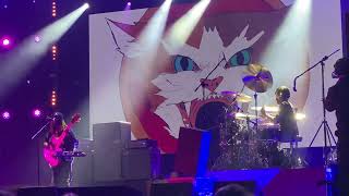 Thundercat  Funny Thing Opener Festival Poland 2023 [upl. by Leilani]