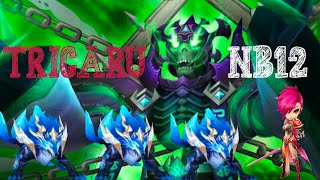 TUTO  TEAM TRICARU NB12  Summoners War [upl. by Maritsa]