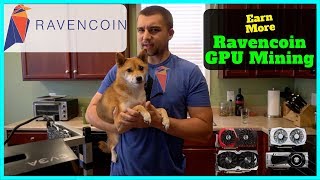 How To Mine Ravencoin  Best Wallet  Best RVN Miner  Increase Mining Profits [upl. by Sukram105]