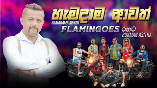 Hamadama Awath හැමදාම ආවත් මගේ  Rukman Asitha flamingoesahungalla Rukmanasitha hamadamaawath [upl. by Esbenshade]