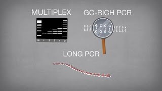 PCR reaction types and applications [upl. by Arimak492]