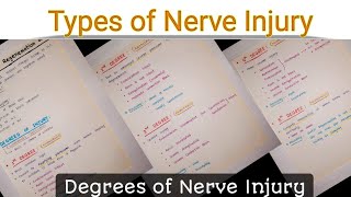 Nerve Injury  Degrees of Nerve Injury  Types of Nerve Injury  Nerve Damage [upl. by Enilauqcaj]