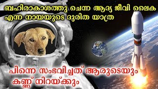 ബഹിരാകാശത്തു എത്തിയ ആദ്യ ജീവനുള്ള വസ്തു ലൈക എന്ന നായ  The Sad Story Of Laikha First Dog In Space [upl. by Hopfinger]