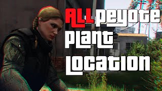 All Peyote Plant Locations GTA 5 Online 2020 [upl. by Ojimmas]