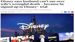 Disney Allergy Lawsuit is Crazy [upl. by Nireil156]