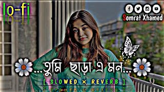 Tumi Chara Emon  তুমি ছাড়া এ মন  Slowed × Reverb  Bangla Romantic Lofi  আমার প্রিয় গান  Somrat [upl. by Peggie759]