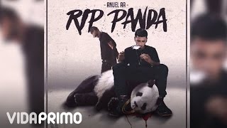 Anuel AA  RIP Panda ft Arcangel Official Audio [upl. by Behn]