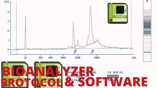 BIOANALYZER 2100 Protocol and Software Guide Optimizing Your Analysis Workflow [upl. by Lenaj]