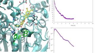 Binding event between Donepezil and Acetylcholinesterase [upl. by Yatnuahc]