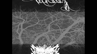 Fethuruz amp Fear And Aghast  When Dry Branches Caress the Cold Hatred Split 2010 Full Album [upl. by Goran]