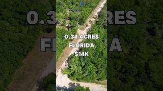 034 Acres with road access for Sale in Florahome Florida for 14000 Taxes 56year shorts fyp [upl. by Dyke]