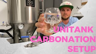 Unitank Carbonation Setup  How to Carbonate [upl. by Miranda]