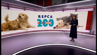 RSPCA turns 200  saving and protecting animals in the UK for 200 years UKGlobal 8Jan2024 [upl. by Ademla193]