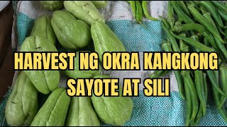 OKRA KANGKONG SAYOTE AT SILI [upl. by Seibold]