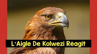 L’AIGLE DE KOLWEZI RÉAGIT [upl. by Netta]