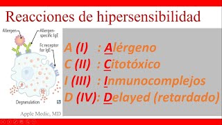 Reacciones de hipersensibilidad  Explicado FÁCIL y SENCILLO  Apple Medic [upl. by Erb]