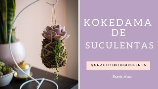 Como hacer un kokedama de suculentas [upl. by Betteann]