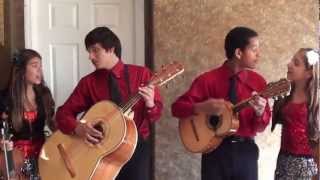 Teach Your Children Well Crosby Stills Nash amp Young Cover by Castillo Kids Nov 3 2012 [upl. by Sillihp6]