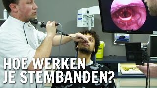 Hoe werken stembanden  De Buitendienst over je stem [upl. by Eidnahs]