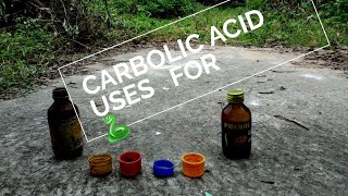 Carbolic Acid Uses For Snake🐍 [upl. by Sergias235]