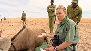 Wildebeest Health Check  Vet Safari  BBC Earth [upl. by Haddad]