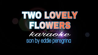 TWO LOVELY FLOWERS eddie peregrina karaoke [upl. by Ahsemed486]