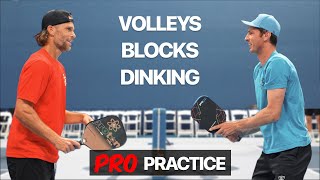 Pros Drilling Andrei Daescu Travis Rettenmaier Donald Young  Volleys Blocks Dinking [upl. by Melloney]