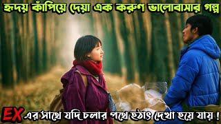 যে ভালোবাসার গল্পে কাঁদবেন আপনিও  Us and Them 2018 Chinese Love Story Movie Explain in Bangla [upl. by Rutherfurd]