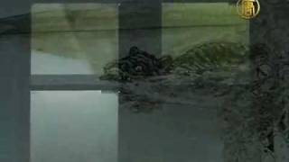 Giant Monster Caught on Film Tape in Sweden Lake [upl. by Aroved]