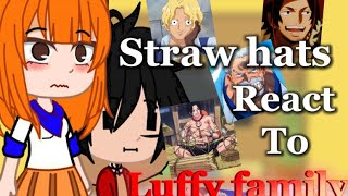 Past straw hats react to luffy family read description pleasevivi [upl. by Hagai]