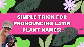 Simple trick for how to pronounce Latin plant names [upl. by Yebot]